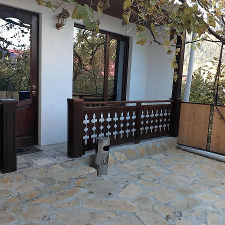 Apartment Borjomi, Erekle Street, 21A Εξωτερικό φωτογραφία
