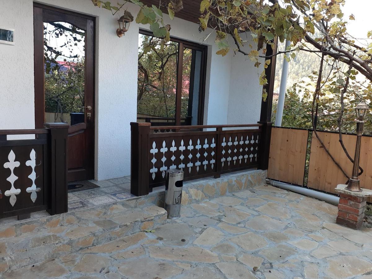 Apartment Borjomi, Erekle Street, 21A Εξωτερικό φωτογραφία